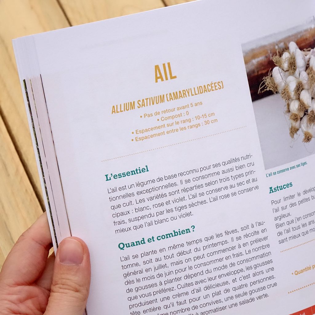 Produire tous ses légumes, toute l'année !