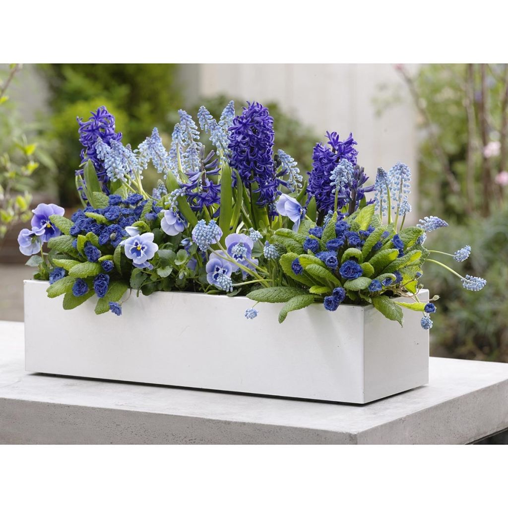 Voorjaarscollectie Lucht & Zee