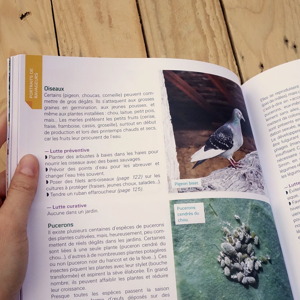 Stop aux ravageurs dans mon jardin !