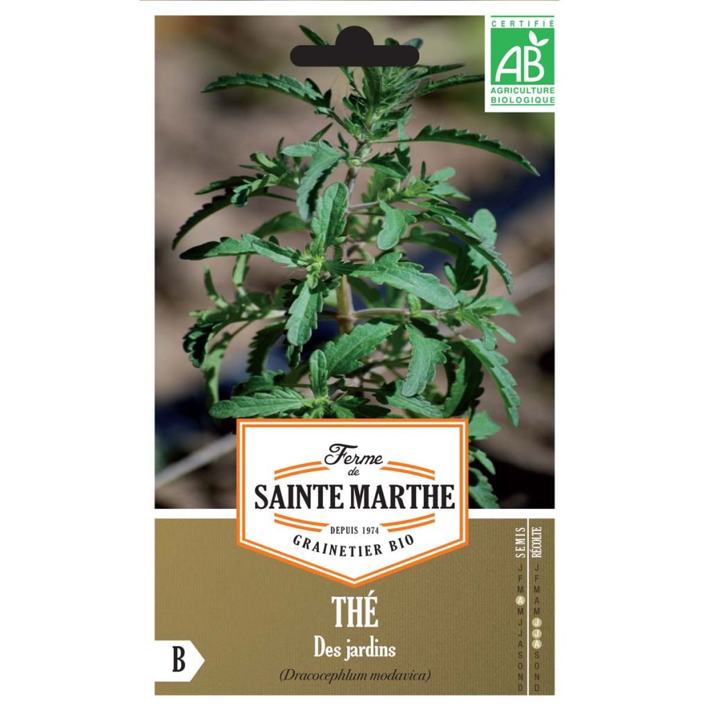 Drakenkop BIO Ferme de Sainte Marthe - Dracocephalum moldavica