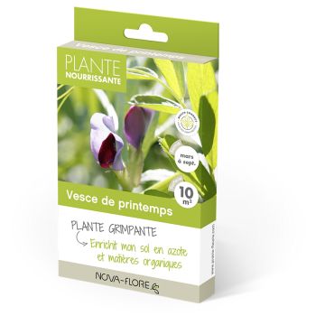 Zomerwikke groenbemester - Vicia sativa