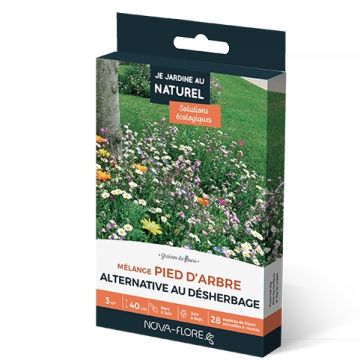 Boomspiegelzaadmengsel