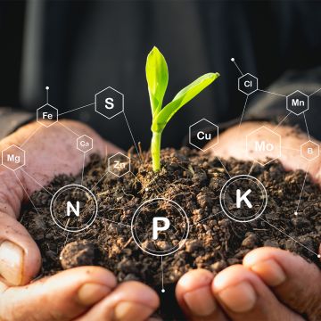 Professionele bodemanalyse