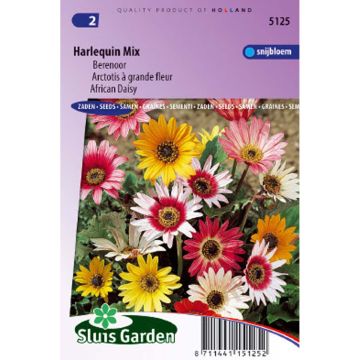 Arctotis acaulis Harlequin (zaad) - Afrikaanse margriet