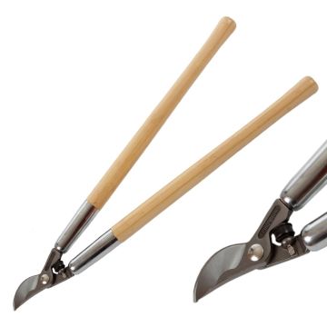 Coupe-branche traditionnel avec poignées en frêne Polet