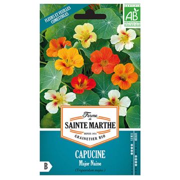 Oostindische kers Duimpje BIO - Ferme de Sainte Marthe