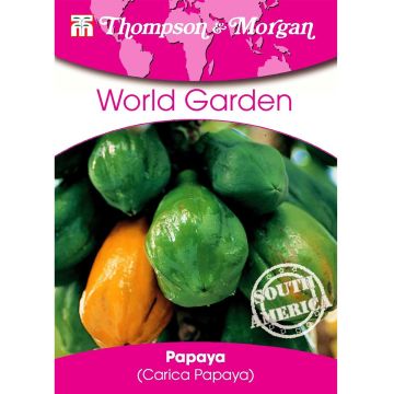 Carica papaya (zaad) - Papaja