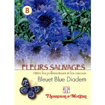 Korenbloem Blue Diadem (zaad) - Centaurea cyanus