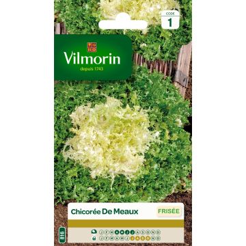 Krulandijvie Fijne van Meaux - Vilmorin