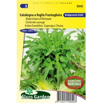 Kapucijnerbaard Catalogna a foglia Frastagliata