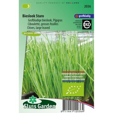 Bieslook Staro BIO - Allium schoenoprasum