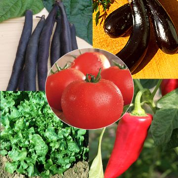 Biologische Zaden Collectie - 5 zakken biologisch zaad