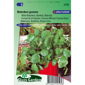 Waterkers - Nasturtium officinale