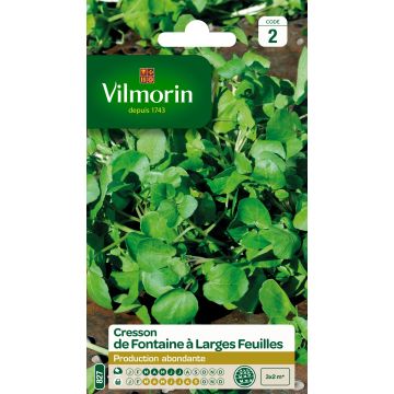 Waterkers Vilmorin - Nasturtium officinale
