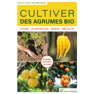 Cultiver des agrumes bio