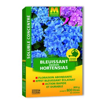 Oplosbare meststof voor blauwe hortensia's met aluminiumsulfaat - Masso