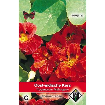 Oost-Indische kers Mahogany Jewel (zaad) - Tropaeolum majus