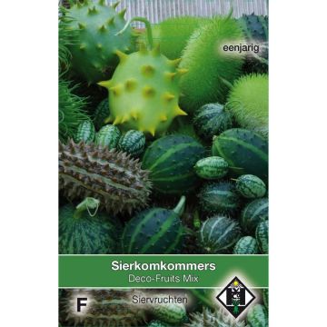 Cucumis Deco Fruits (zaad) - Komkommer