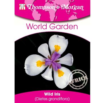 Dietes grandiflora (zaad) - Afrikaanse iris