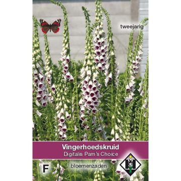 Digitalis purpurea Pam's Choice (zaad) - Vingerhoedskruid