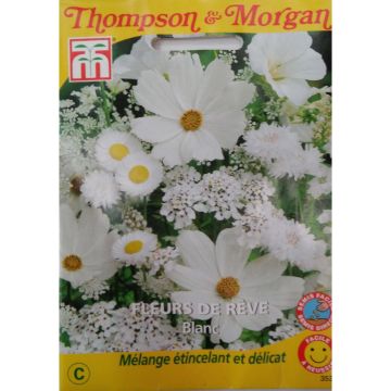 Witte Droombloem Zaden