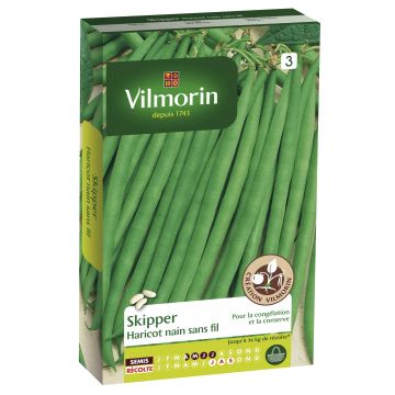 Stamslaboon Skipper - Vilmorin