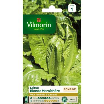 Romaine sla Blonde Maraîchère - Vilmorin