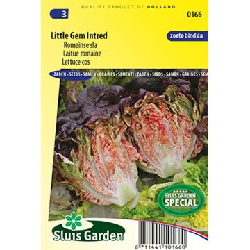 Romaine sla Little Gem Intred