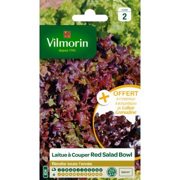 Pluksla Red Salad Bowl - Vilmorin