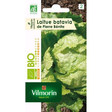Bataviasla De Pierre Bénite BIO - Vilmorin