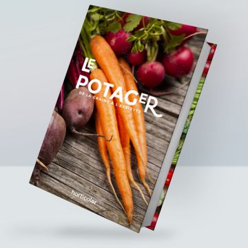 Le Potager - De la graine à l'assiette - le guide