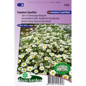Leucanthemum pallens Summer Sparkler (zaad) - Margriet