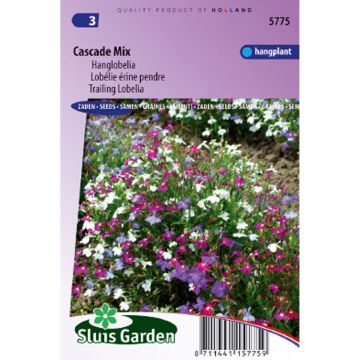 Lobelia erinus Cascade Mix (zaad) - Hanglobelia