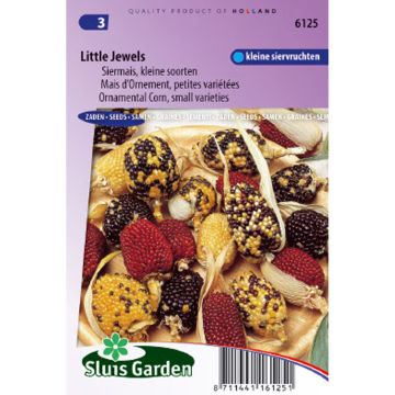 Aardbeimaïs Little Jewels (zaad) - Zea mays var. gracillima