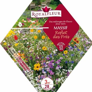 Mengsel voor bloemenweide - Zak 3 m²