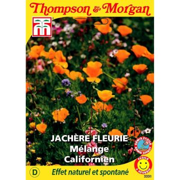 Wildebloemenzaden - Californisch Mengsel