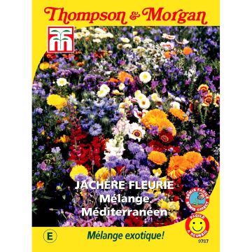 Wildebloemenzaden - Mediterrane Mix