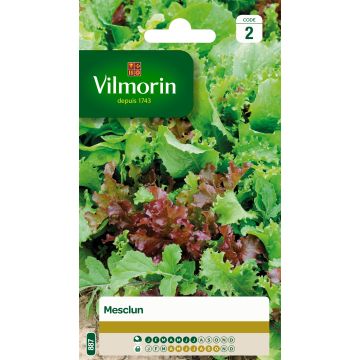 Mesclun Mix 3 - Vilmorin