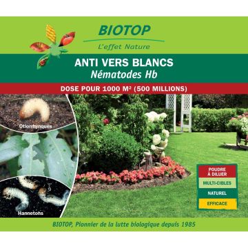 Aaltjes Hb Biotop tegen engerlingen