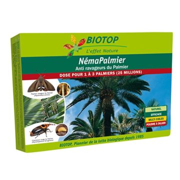 Aaltjes NémaPalmier Biotop tegen palmenplagen