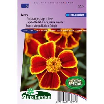 Klein afrikaantje Mars (zaad) - Tagetes patula