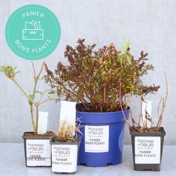 ‘Zero waste’ manden