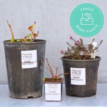 ‘Zero waste’ manden