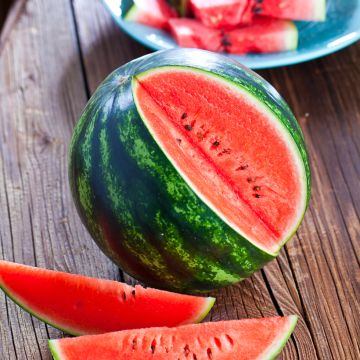 Watermeloen Crimson Sweet BIO