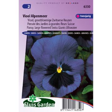 Viola wittrockiana Alpensee (zaad) - Grootbloemige viool