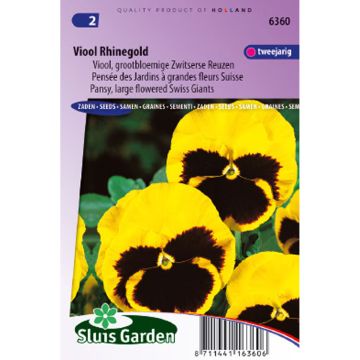 Viola wittrockiana Rhinegold (zaad) - Grootbloemige viool
