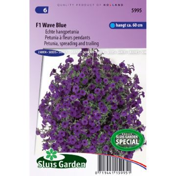 Petunia Wave Blauw F1 (zaad) - Hangpetunia