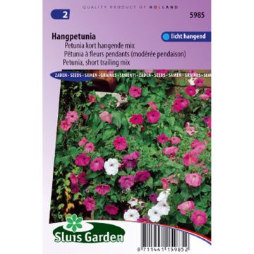 Petunia Balcony Mix (zaad) - Hangpetunia