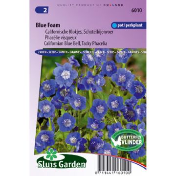 Phacelia viscida compacta Blue Foam (zaad) - Droombijenvoer