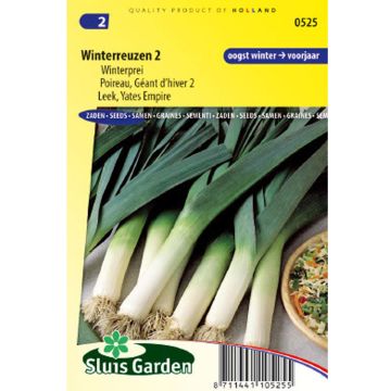 Prei Reuzenwinterprei